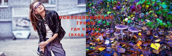 тгк Михайловка