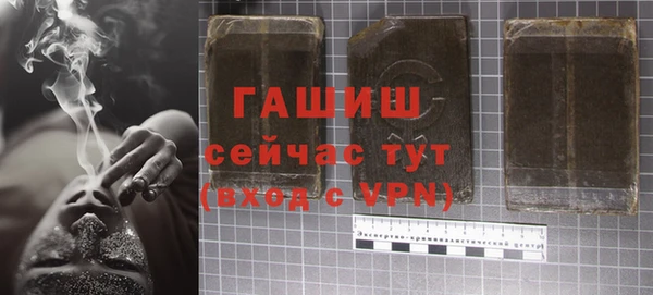 крисы Мегион