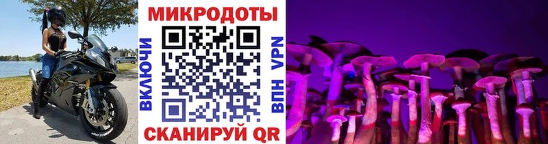 Купить закладки  Венёв  Галлюциногенные грибы Psilocybe 